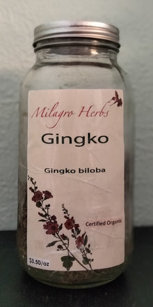Ginkgo Leaf (Dried) - Organic - Milagro Herbs - Handmade Organic Herbal Remedies & Medicinal Plants