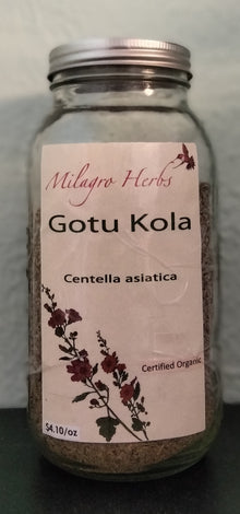 Gotu Kola (Dried) - Organic - Milagro Herbs - Handmade Organic Herbal Remedies & Medicinal Plants