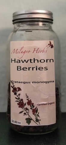 Hawthorn Berry (Dried) - Organic - Milagro Herbs - Handmade Organic Herbal Remedies & Medicinal Plants