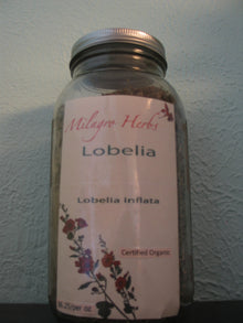 Lobelia (Dried) - Organic - Milagro Herbs - Handmade Organic Herbal Remedies & Medicinal Plants