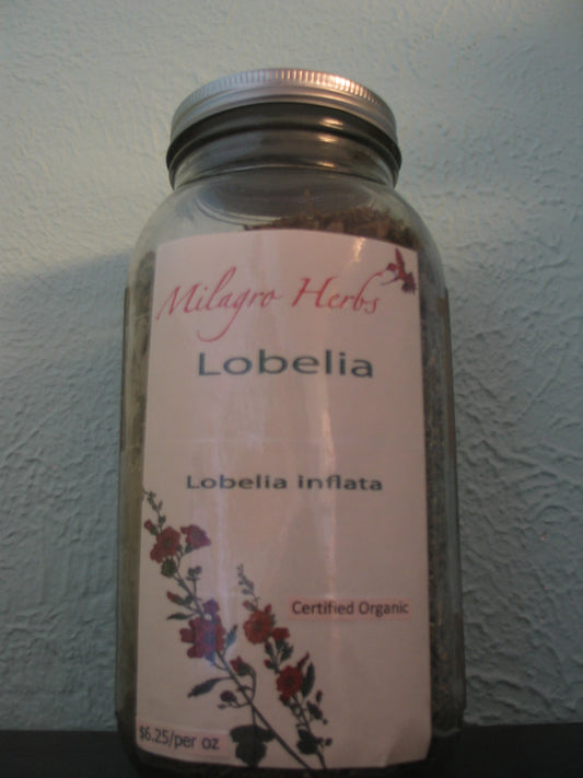 Lobelia (Dried)