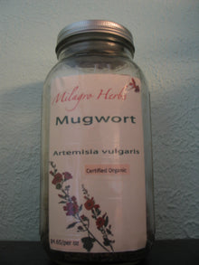 Mugwort (Dried) - Organic - Milagro Herbs - Handmade Organic Herbal Remedies & Medicinal Plants