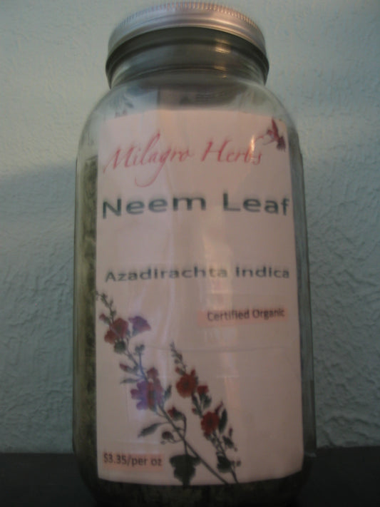 Neem leaf (Dried)