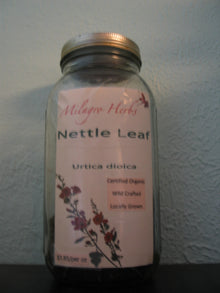 Nettle leaf (Dried) - Organic - Milagro Herbs - Handmade Organic Herbal Remedies & Medicinal Plants