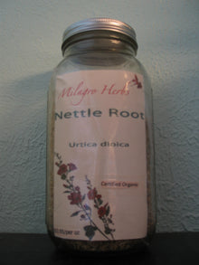 Nettle root (Dried) - Organic - Milagro Herbs - Handmade Organic Herbal Remedies & Medicinal Plants