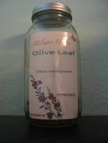 Olive leaf (Dried) - Organic - Milagro Herbs - Handmade Organic Herbal Remedies & Medicinal Plants