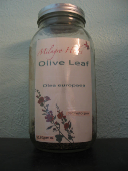 Olive leaf (Dried)