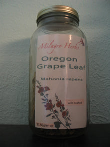 Oregon Grape leaf (Dried) - Wildcrafted - Milagro Herbs - Handmade Organic Herbal Remedies & Medicinal Plants