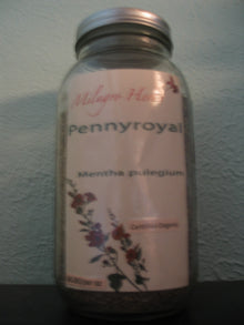Pennyroyal (Dried) - Organic - Milagro Herbs - Handmade Organic Herbal Remedies & Medicinal Plants