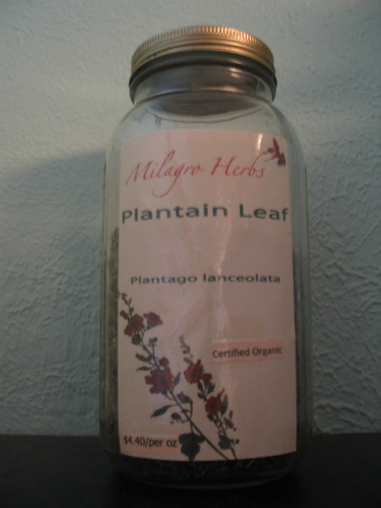 Plantain leaf (Dried)