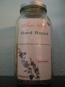 Red Root (Dried) - Wildcrafted - Milagro Herbs - Handmade Organic Herbal Remedies & Medicinal Plants