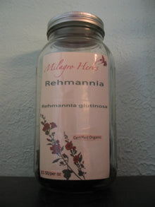 Rehmania (Dried) - Organic - Milagro Herbs - Handmade Organic Herbal Remedies & Medicinal Plants