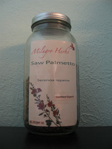 Saw Palmetto (Dried) Organic - Milagro Herbs - Handmade Organic Herbal Remedies & Medicinal Plants