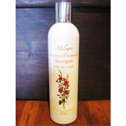 Natural Botanicals Shampoo