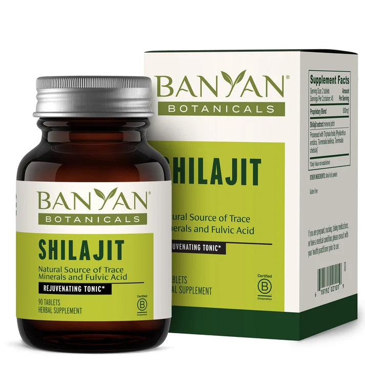 Shilijat Tablets 90 count