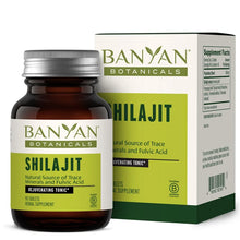 Shilijat Tablets 90 count