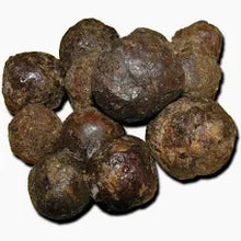 Propolis Tincture - Wildcrafted - Milagro Herbs - Handmade Organic Herbal Remedies & Medicinal Plants