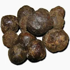 Propolis Tincture - Wildcrafted
