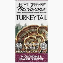 Turkey Tail Caps - Milagro Herbs - Handmade Organic Herbal Remedies & Medicinal Plants
