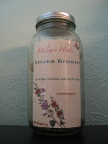 Snake Broom (Dried) - Organic - Milagro Herbs - Handmade Organic Herbal Remedies & Medicinal Plants