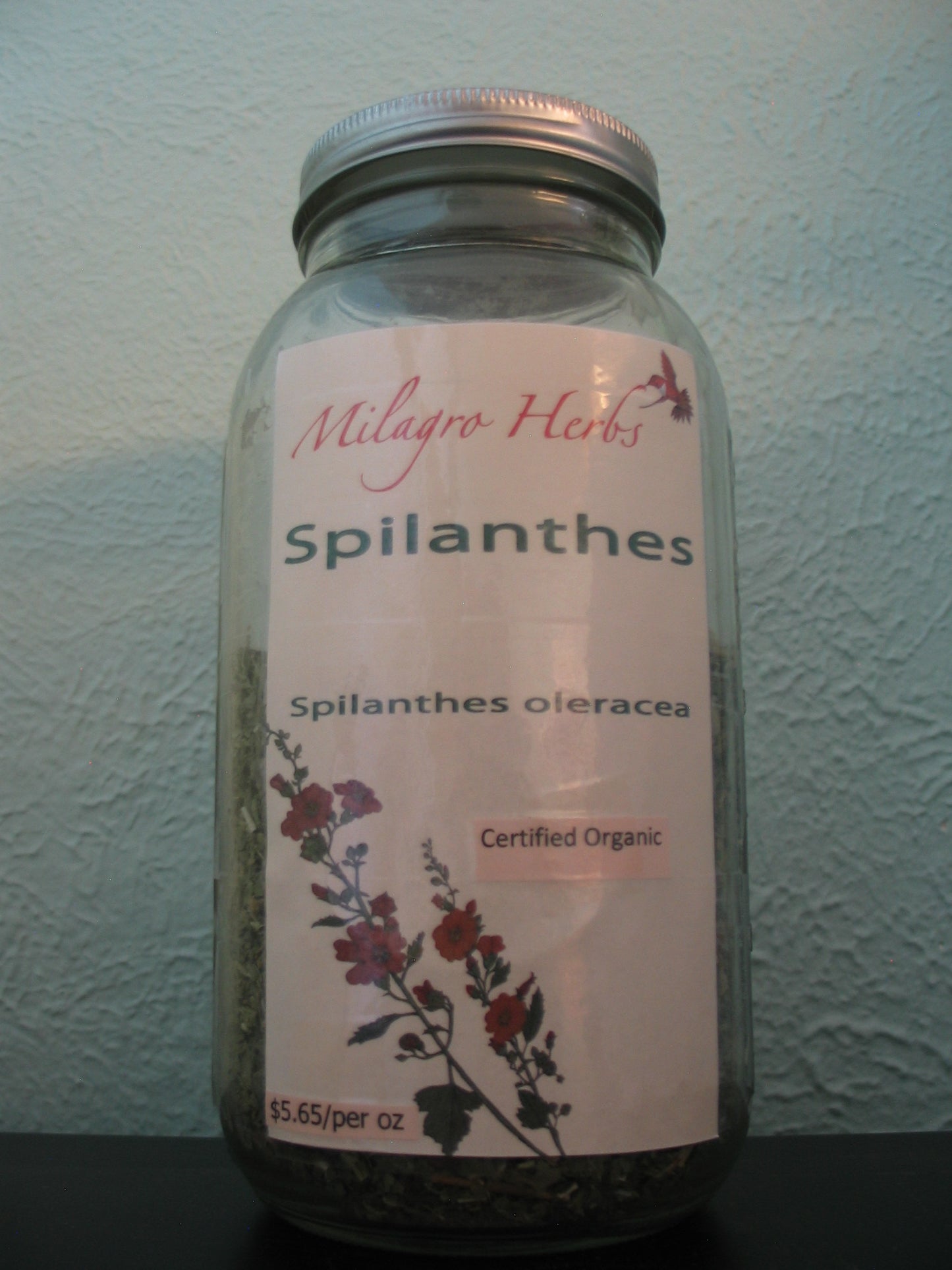 Spilanthes (Dried)