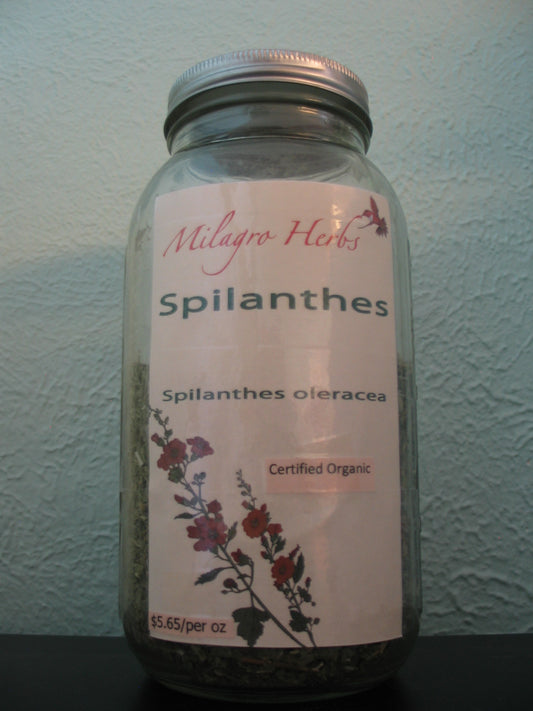 Spilanthes (Dried)