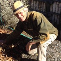 Dr. Tomas Enos Folk Healer