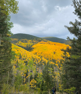 Healing with Plants in Nature with Dr. Tomas Enos - 4/22